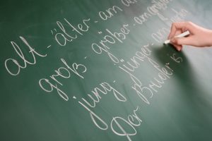 Mehr über den Artikel erfahren Forderungspapier – Gesamtprogramm Sprache